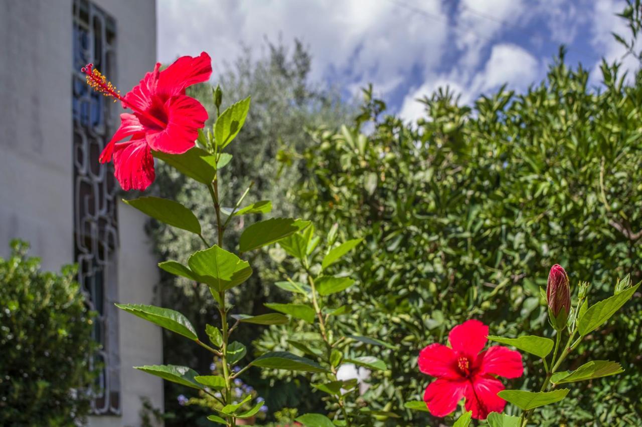 Villa Costanza Mondello Dış mekan fotoğraf